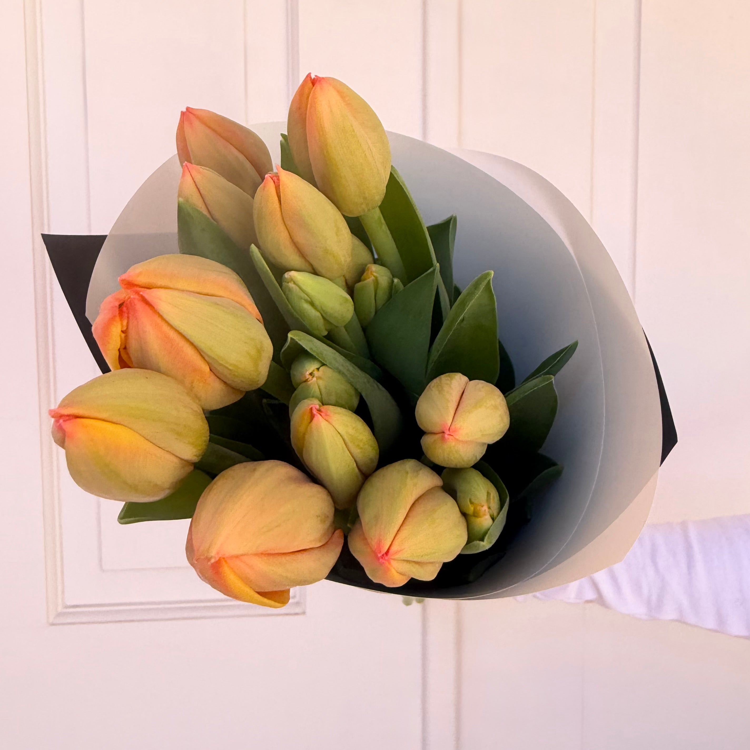 Seasonal Tulips, Mini Moët & Chocolates