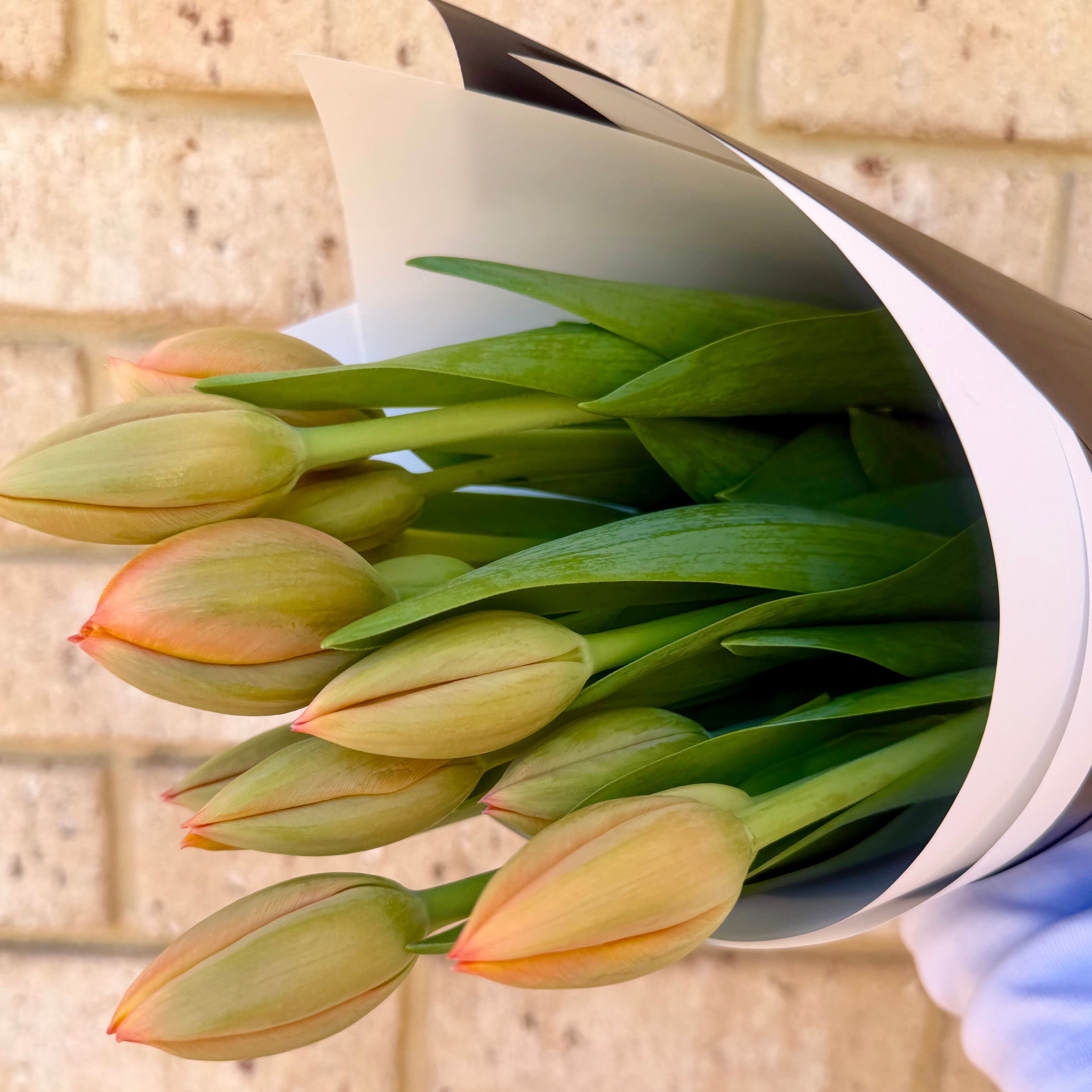Seasonal Tulips with Candle & Chocolate Gift Box